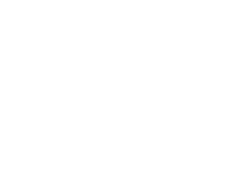 File:UNSF Logo Transparent White.png