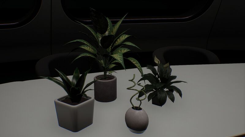 File:Pot Plant.jpg